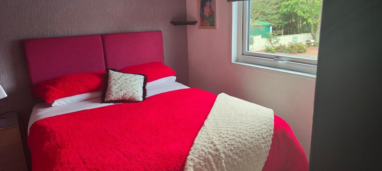 The Cabin Quiet Relaxing And Dog Friendly Mauchline المظهر الخارجي الصورة